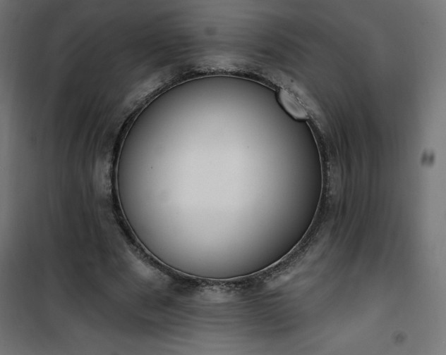 X0000101150489200807071153