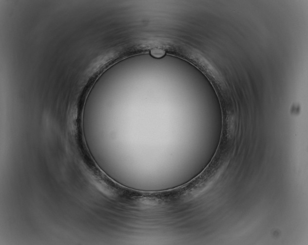 X0000101150490200807071153