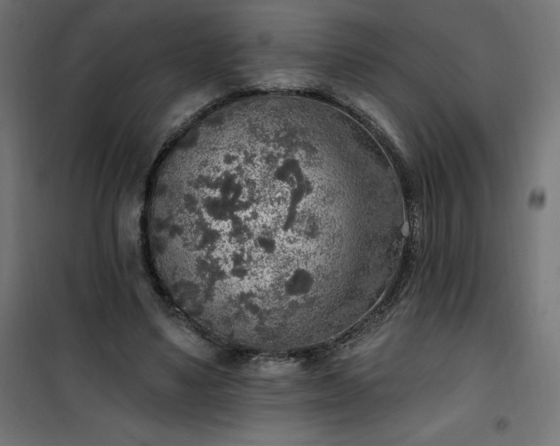 X0000101150491200807071153