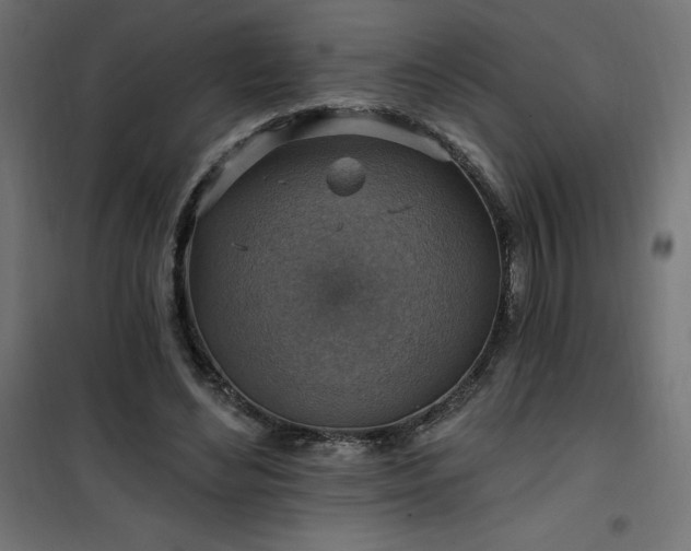 X0000101150492200807071153