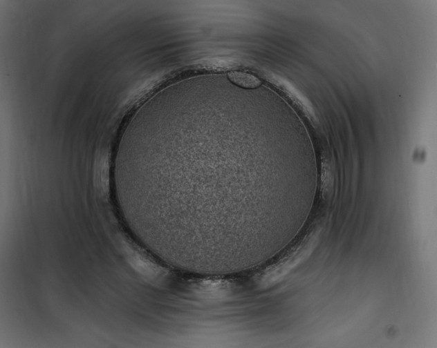 X0000101150493200807071153