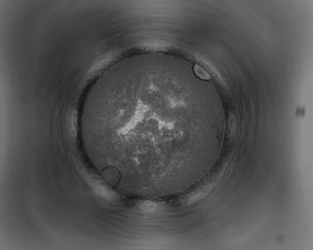 X0000101150494200807071153