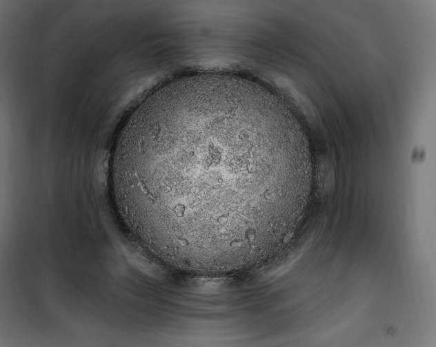 X0000101150495200807071153