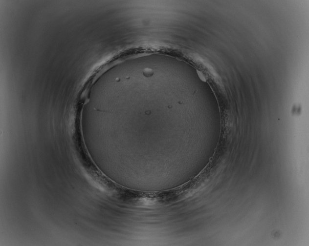 X0000101150496200807071153