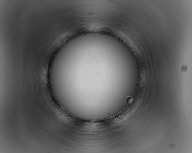 X0000101150497200807071153