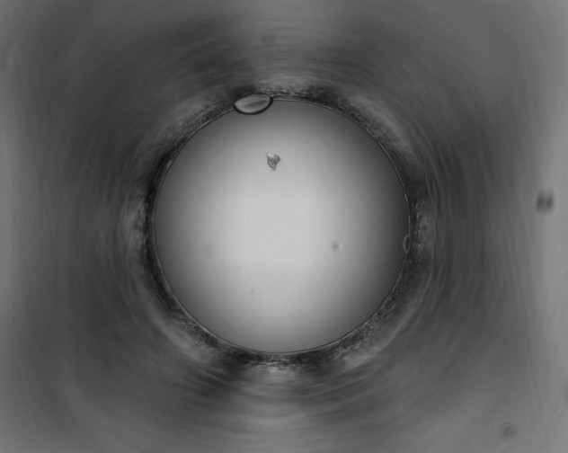 X0000101150498200807071153