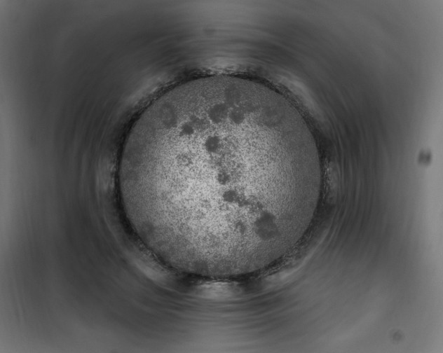 X0000101150499200807071153