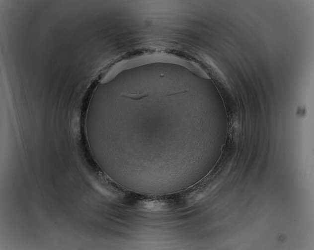 X0000101150500200807071153