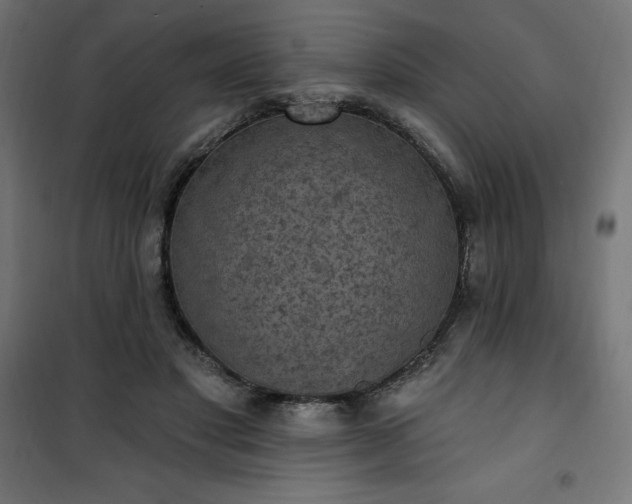 X0000101150501200807071153