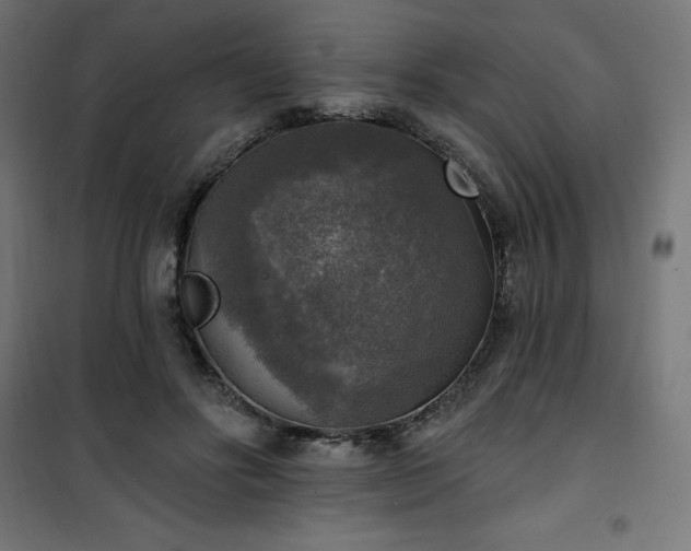 X0000101150502200807071153