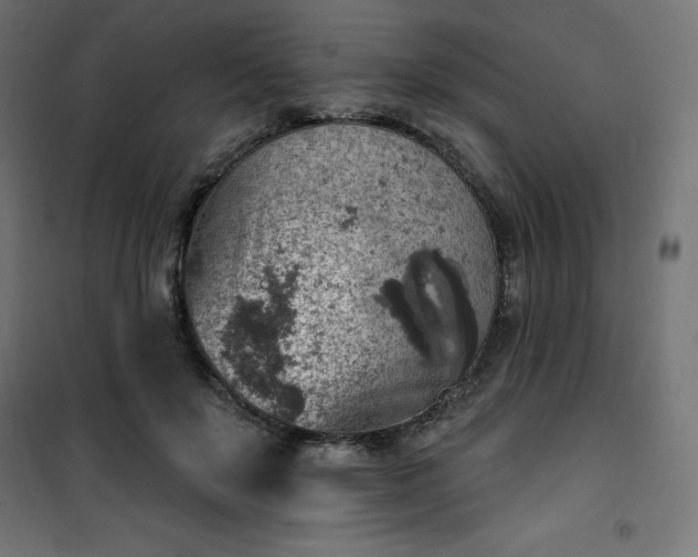 X0000101150503200807071153