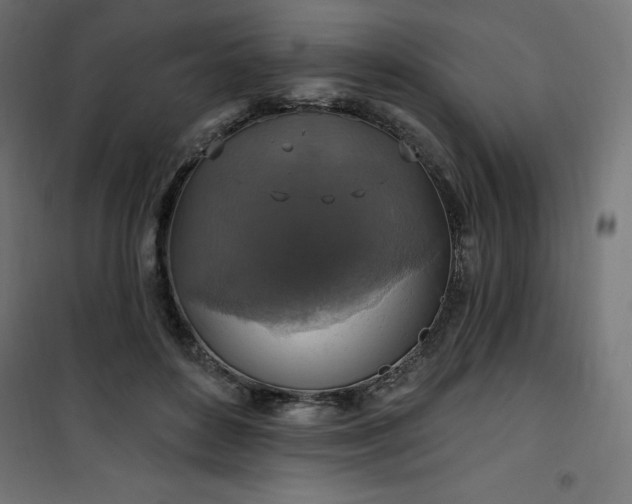 X0000101150504200807071153