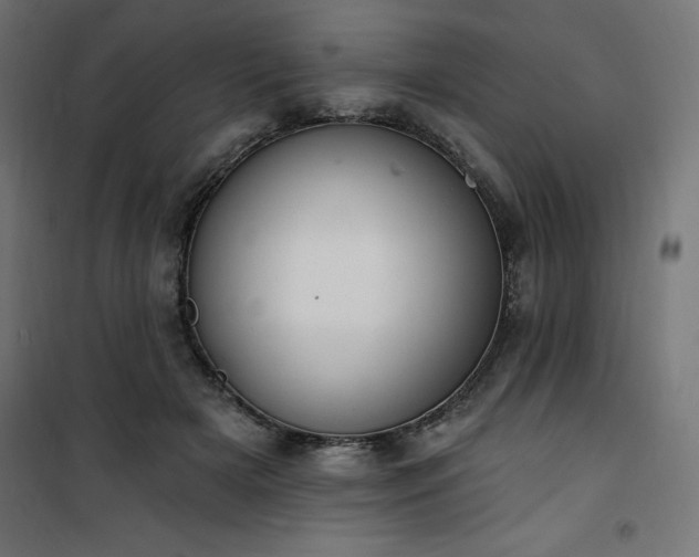 X0000101150505200807071153