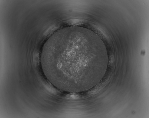 X0000101150506200807071153