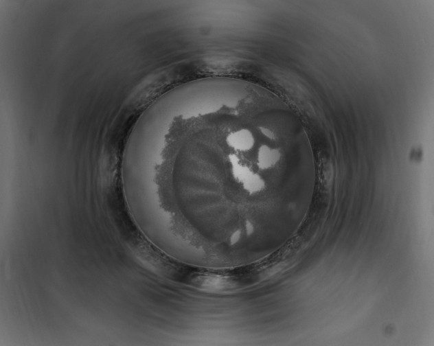 X0000101150507200807071153