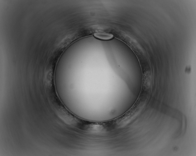 X0000101150509200807071153