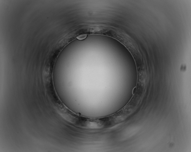 X0000101150510200807071153