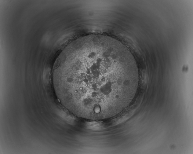 X0000101150511200807071153