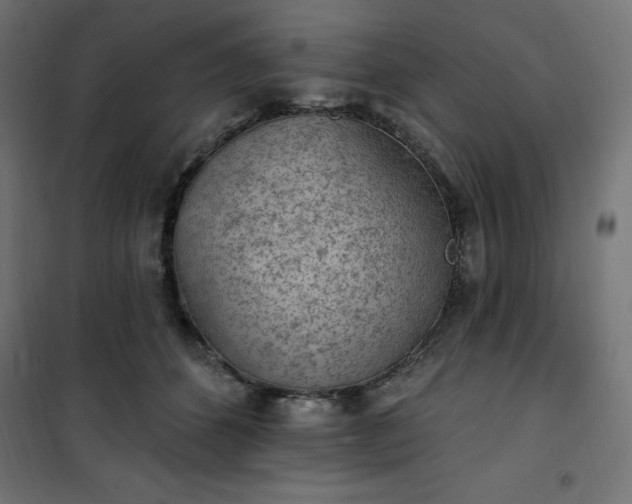 X0000101150512200807071153