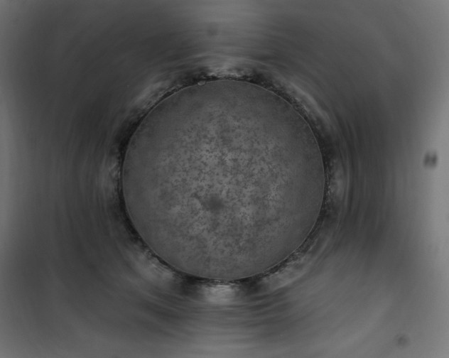 X0000101150513200807071153