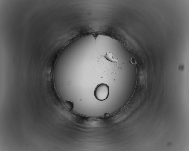 X0000101150514200807071153