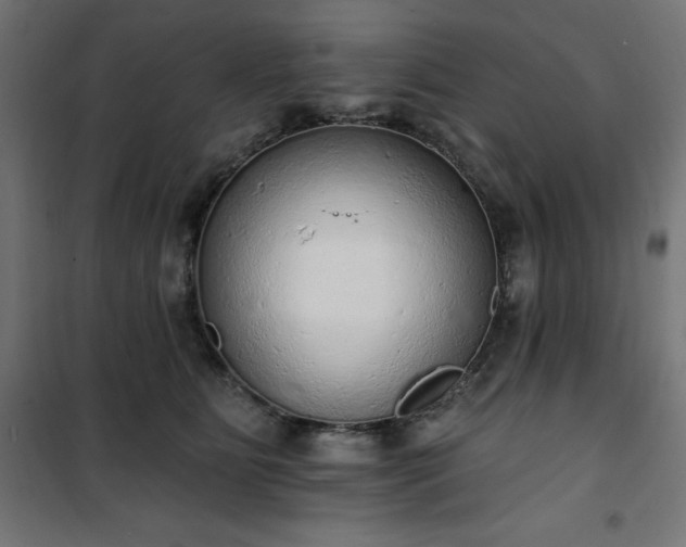 X0000101150515200807071153