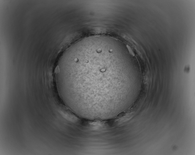 X0000101150516200807071153