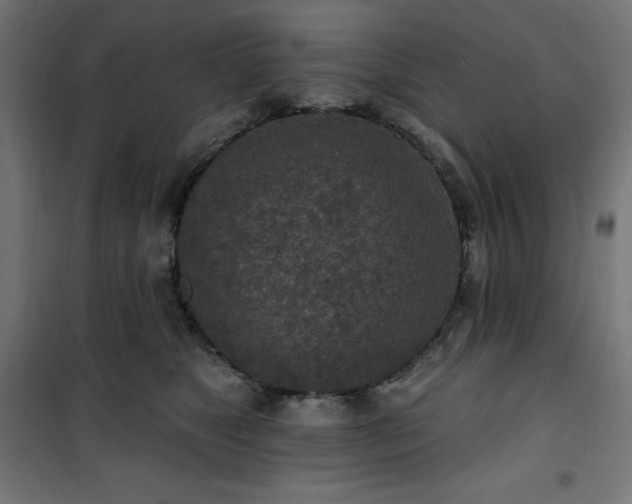 X0000101150517200807071153