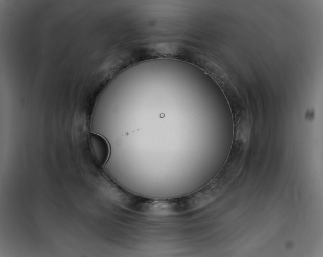 X0000101150518200807071153