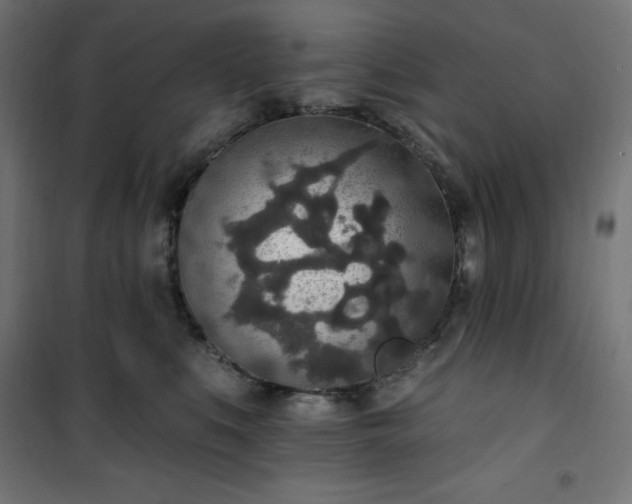 X0000101150519200807071153