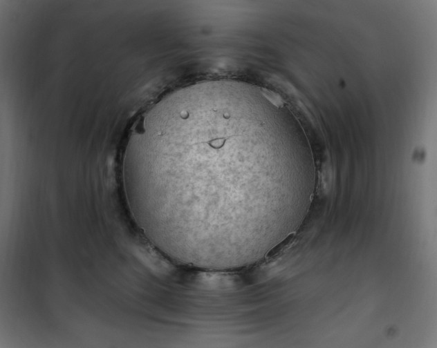 X0000101150520200807071153