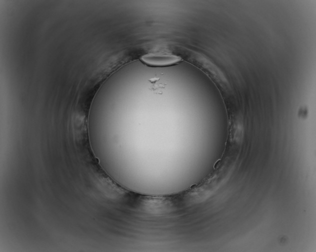 X0000101150521200807071153