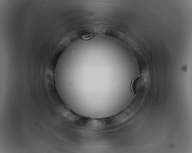 X0000101150522200807071153