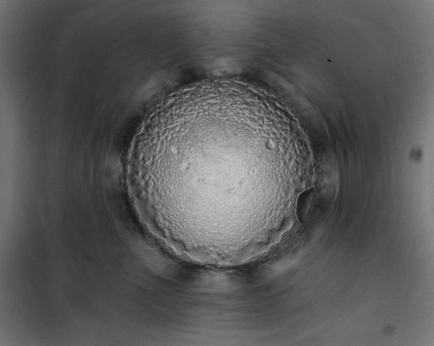 X0000101150523200807071153