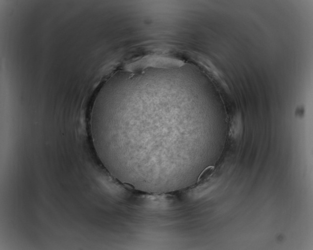 X0000101150524200807071153