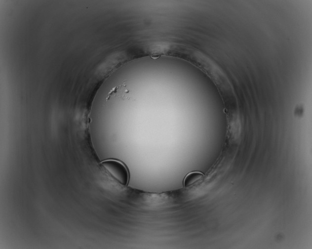 X0000101150525200807071153