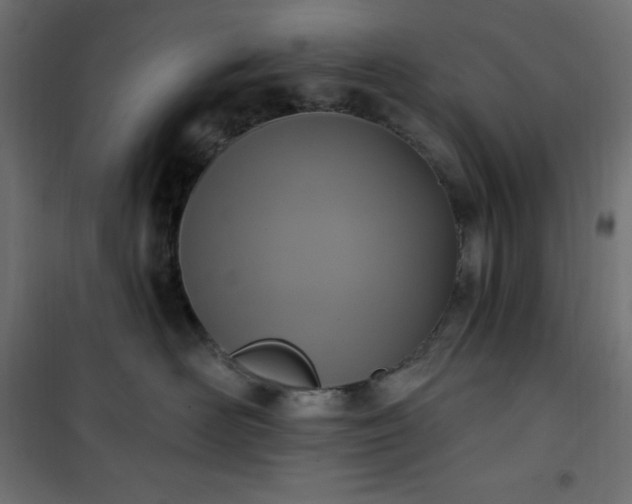 X0000101150526200807071153