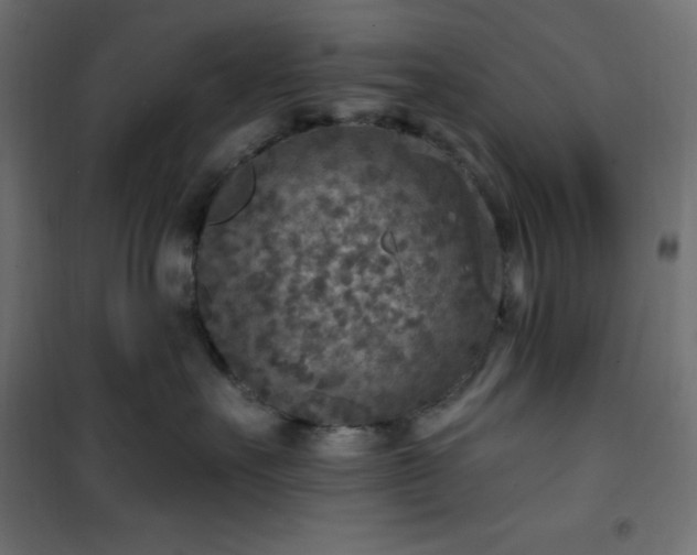 X0000101150527200807071153