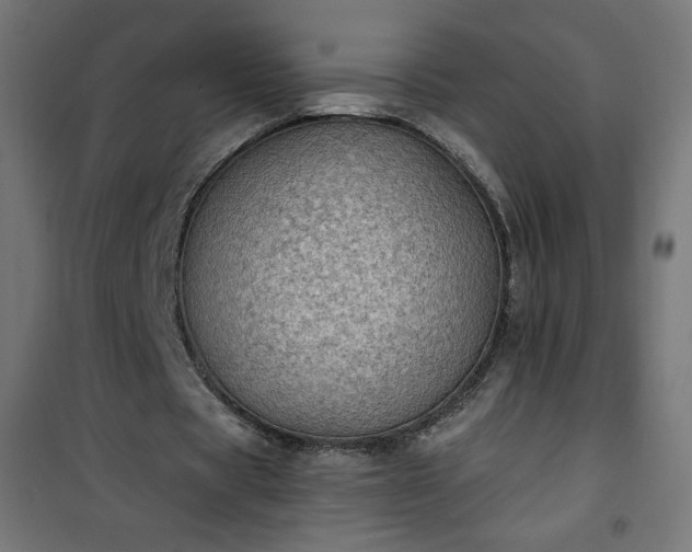 X0000101150529200807071152