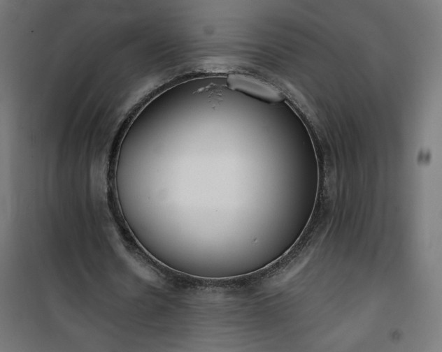 X0000101150530200807071152