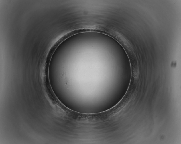 X0000101150532200807071152