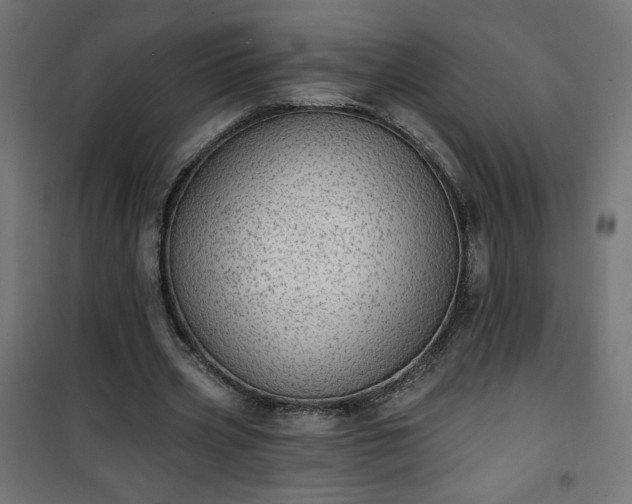 X0000101150533200807071152