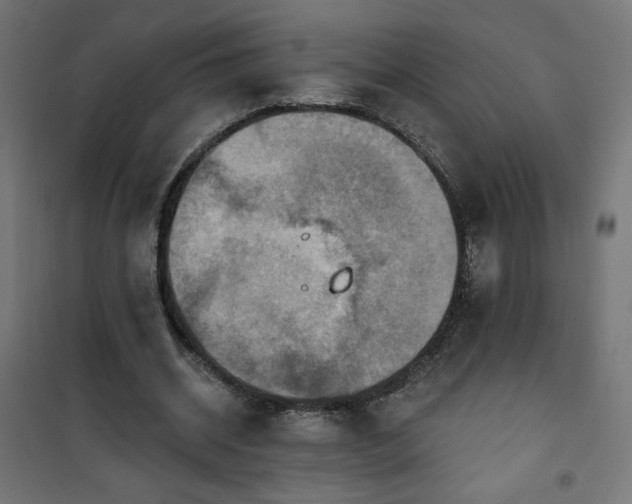 X0000101150534200807071152