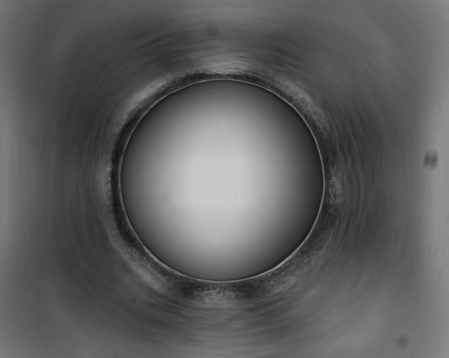 X0000101150535200807071152