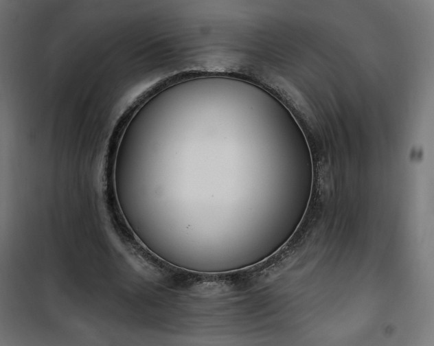 X0000101150536200807071152