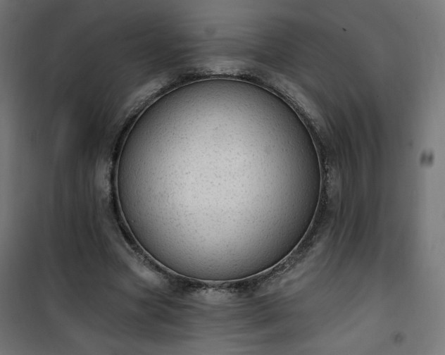 X0000101150537200807071152