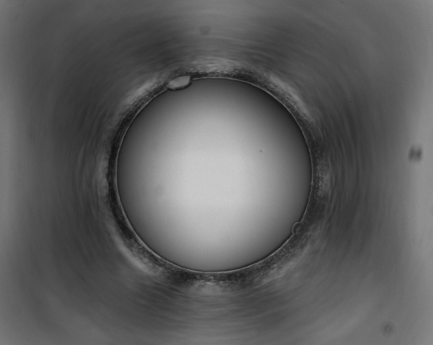 X0000101150538200807071152