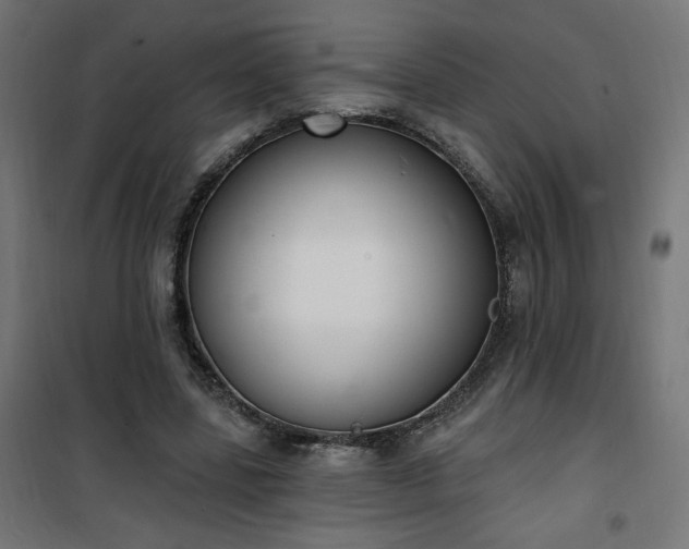 X0000101150539200807071152