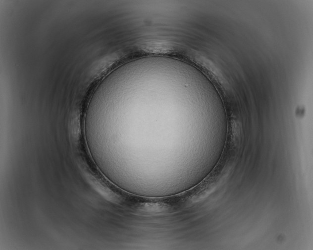 X0000101150541200807071152