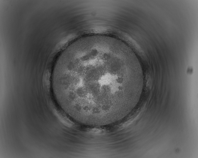 X0000101150542200807071152